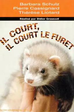 Il Court, Il Court le Furet