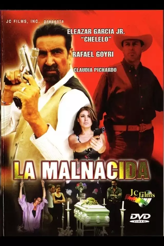 movie vertical poster fallback