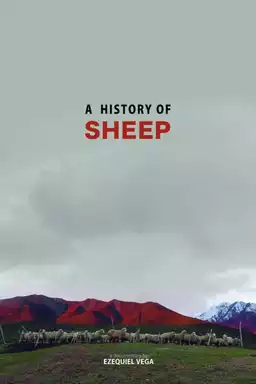 A History Of Sheep