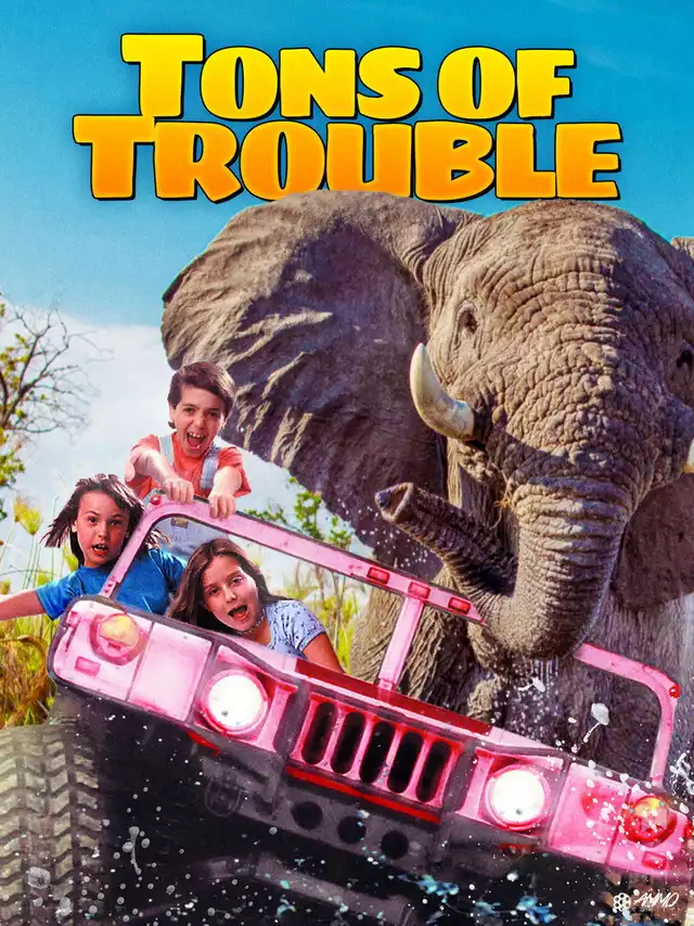 movie vertical poster fallback