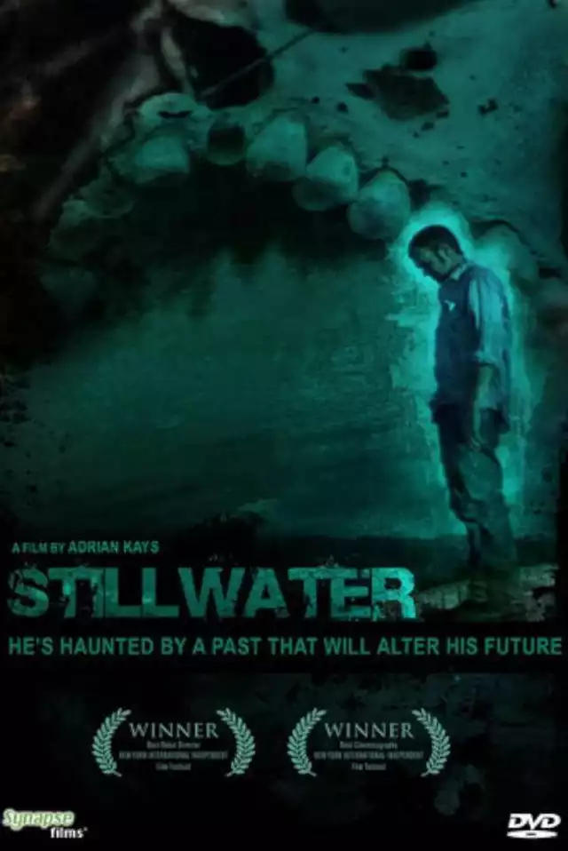 movie vertical poster fallback