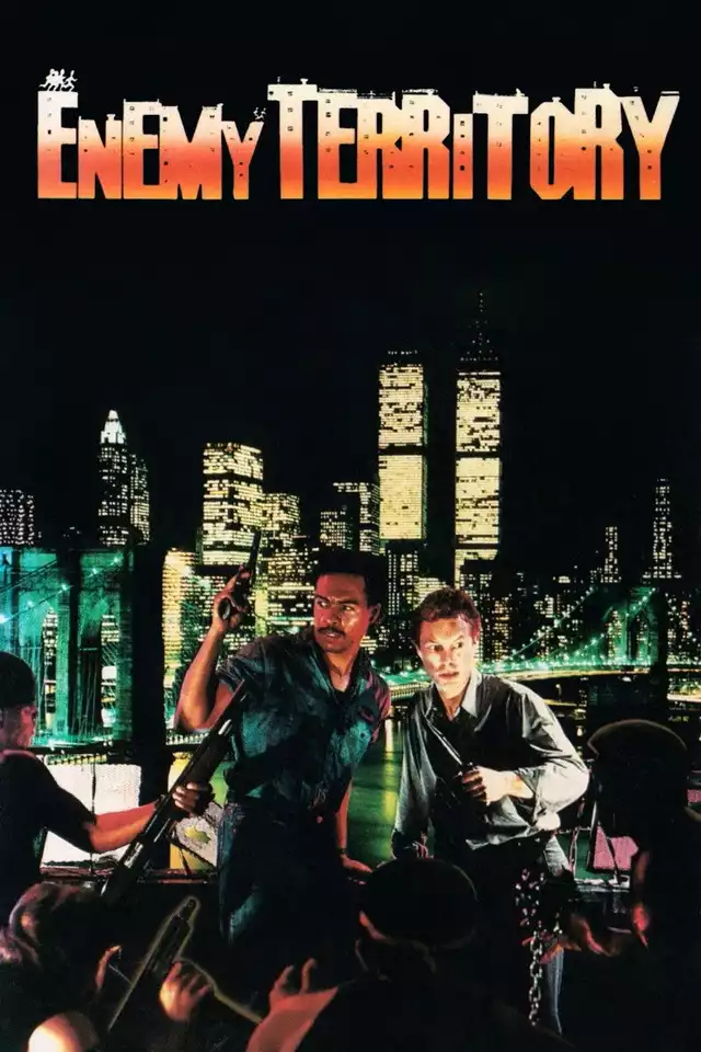 movie vertical poster fallback