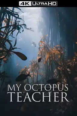 movie My Octopus Teacher