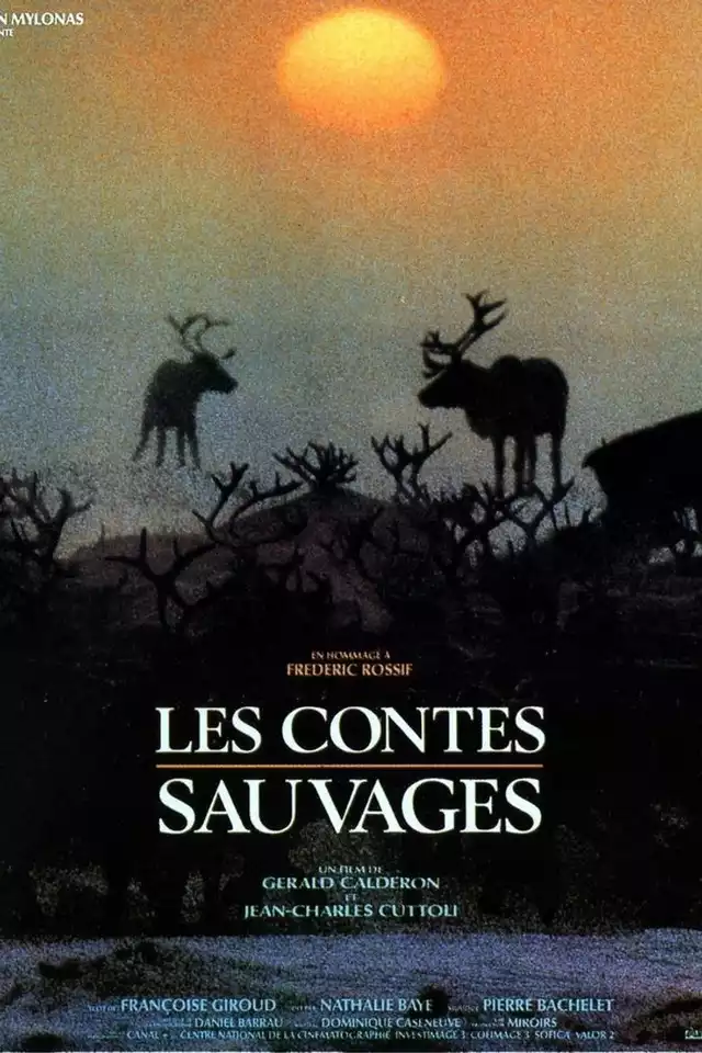 movie vertical poster fallback