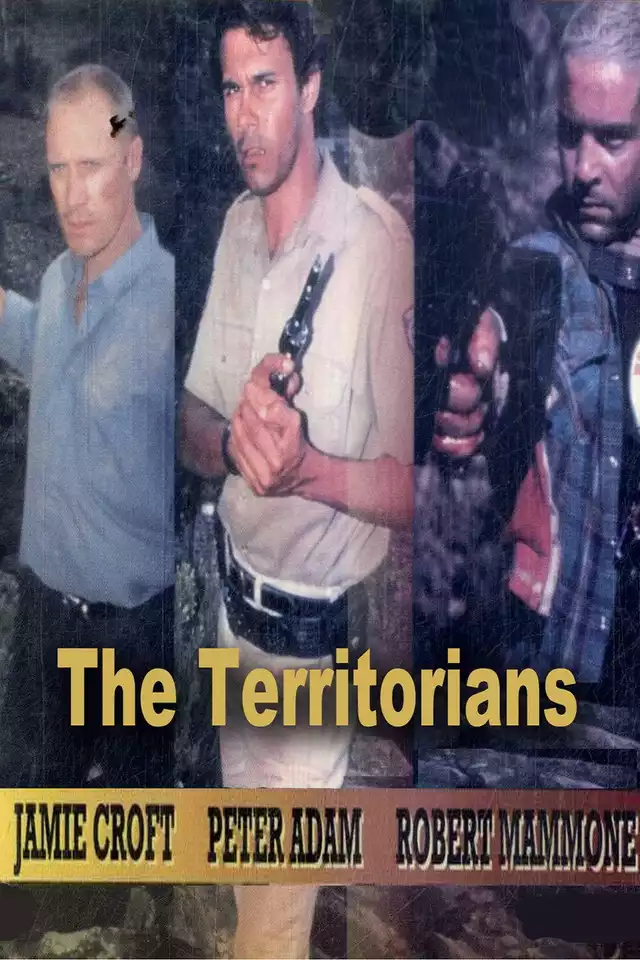 movie vertical poster fallback