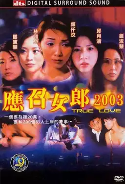 True Love 2003