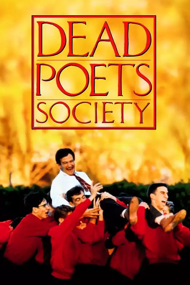 movie vertical poster fallback