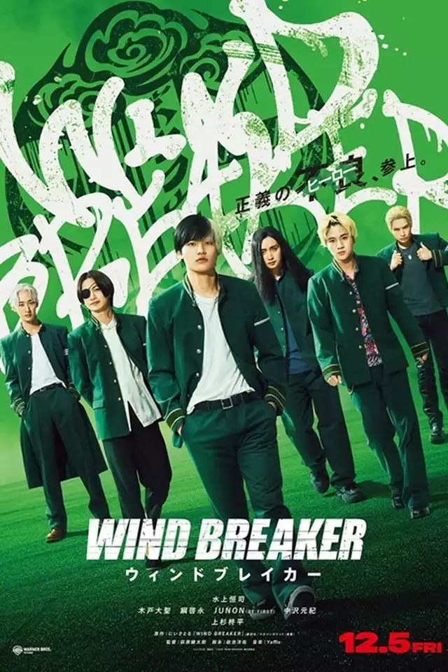 movie vertical poster fallback