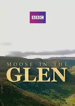 Moose in the Glen