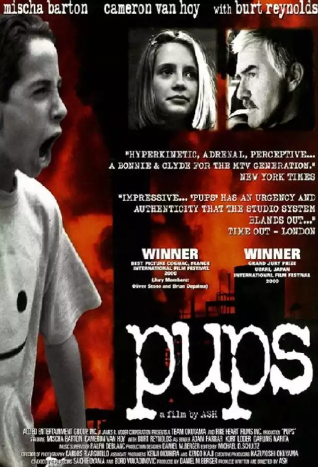 movie vertical poster fallback