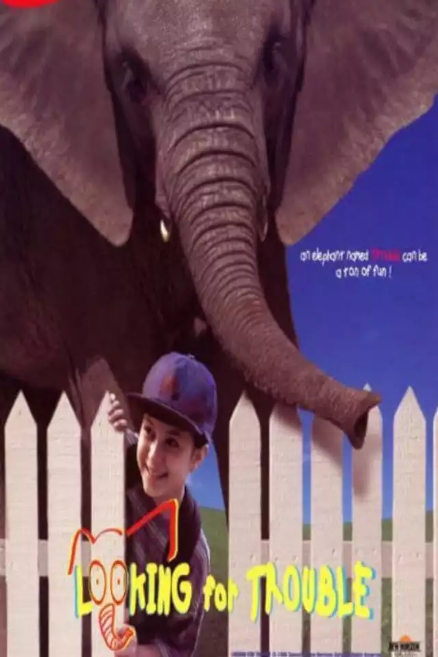 movie vertical poster fallback