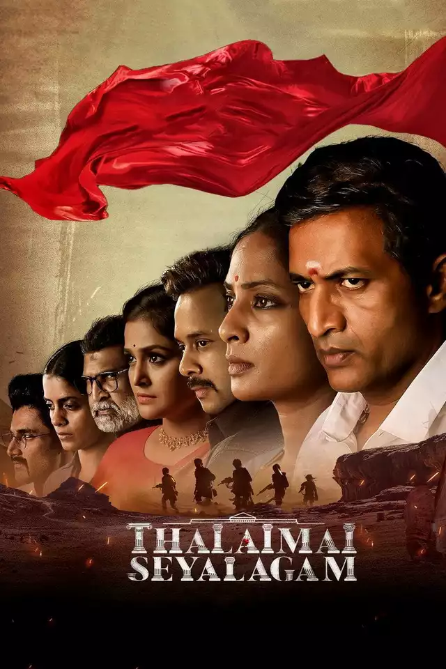 movie vertical poster fallback