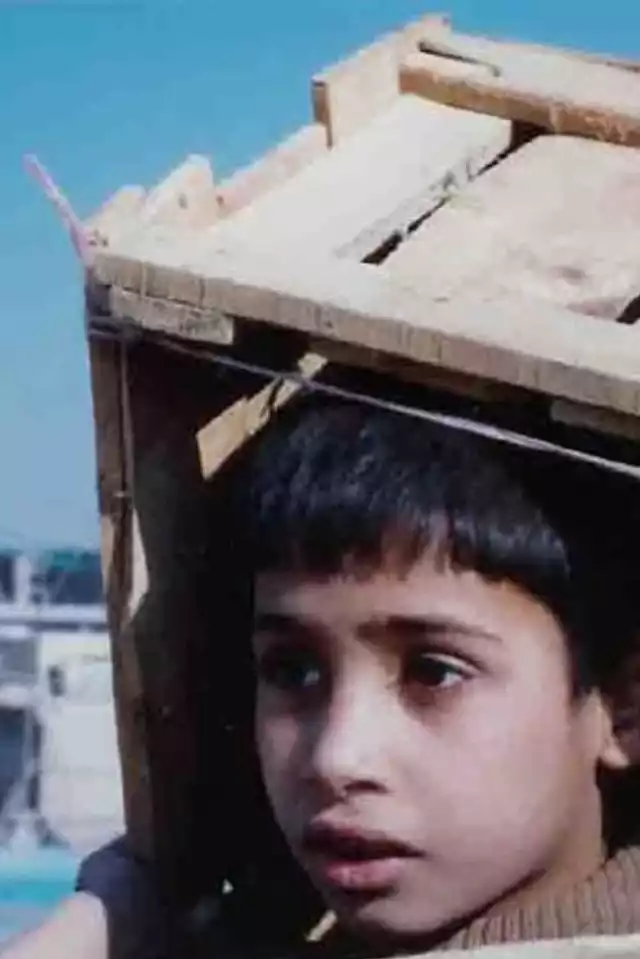 movie vertical poster fallback