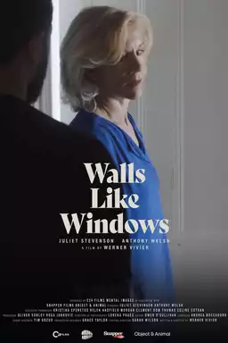 Walls Like Windows