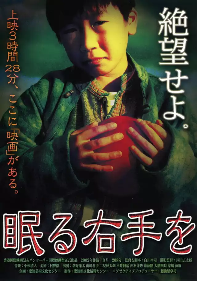 movie vertical poster fallback