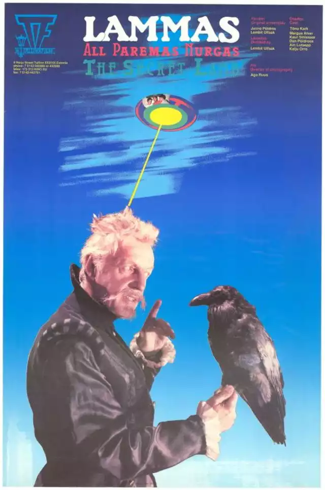 movie vertical poster fallback