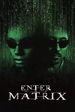Making 'Enter the Matrix'