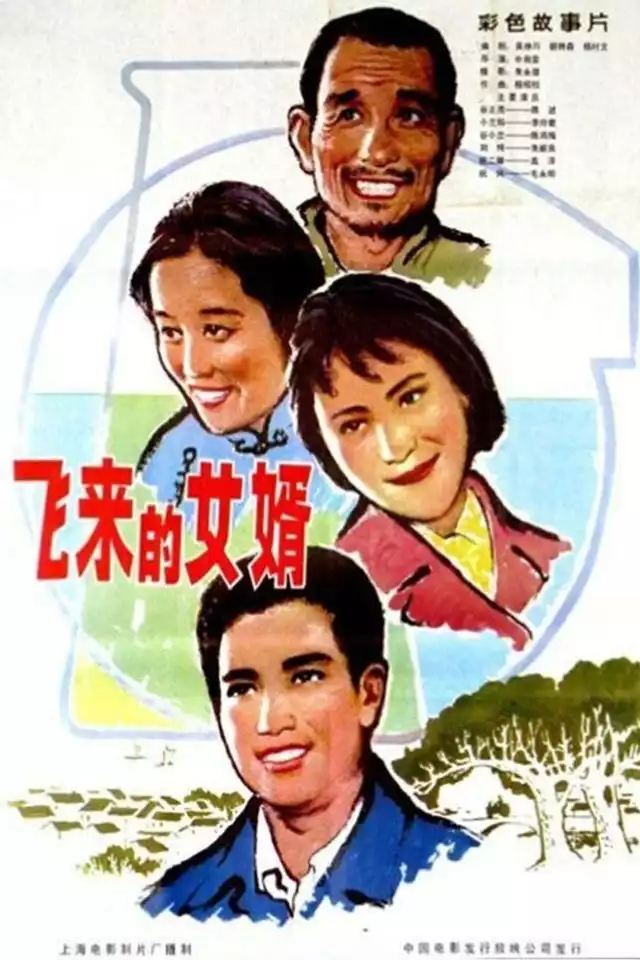 movie vertical poster fallback