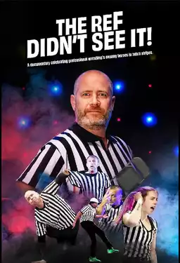 The Ref Didn’t See It!